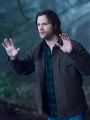 Supernatural : Don't Go In The Wood