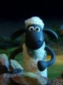 Shaun the Sheep : Shaun Encounters