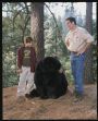 Gentle Ben 2---Danger on the Mountain