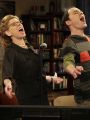 The Big Bang Theory : The Maternal Capacitance