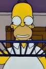 The Simpsons : Treehouse of Horror V
