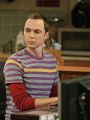 The Big Bang Theory : The Psychic Vortex