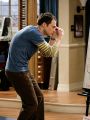 The Big Bang Theory : The Einstein Approximation