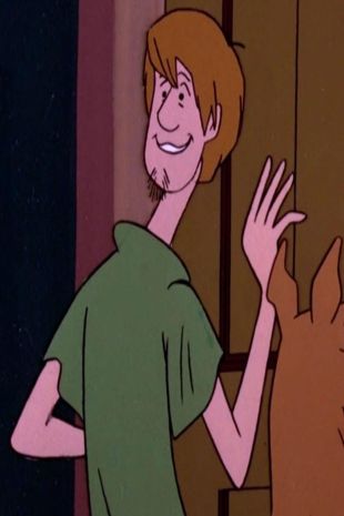 The Scooby-Doo Show : Make a Beeline Away From That Feline
