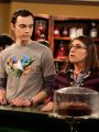 The Big Bang Theory : The Lunar Excitation