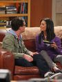The Big Bang Theory : The Cohabitation Formulation