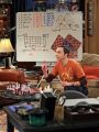 The Big Bang Theory : The Wildebeest Implementation