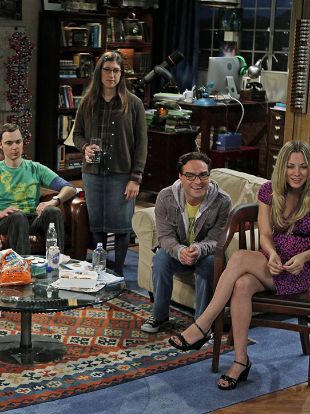 The Big Bang Theory : The Skank Reflex Analysis