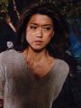 Hawaii Five-0 : Ka Hakaka Maikai (The Good Fight)