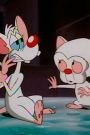 Pinky and the Brain : Plan Brain from Outer Space