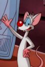 Pinky and the Brain : Dangerous Brains