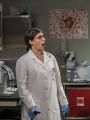 The Big Bang Theory : The Brain Bowl Incubation