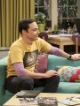 The Big Bang Theory : The Collaboration Contamination