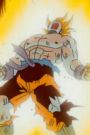 Dragon Ball Z : Namek's Explosion Gokus End