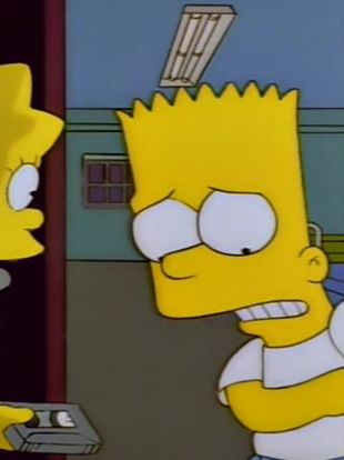 simpsons the secret war of lisa