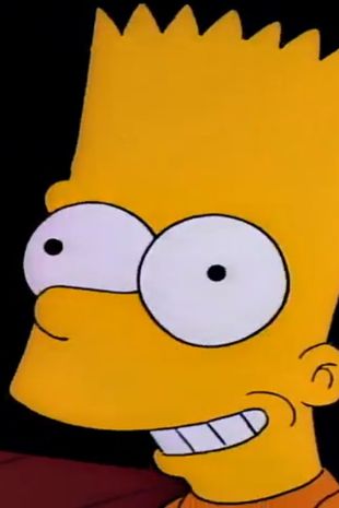 The Simpsons : Bart the Murderer