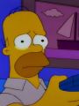 The Simpsons : Lisa's Pony