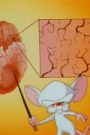 Pinky and the Brain : Brainania