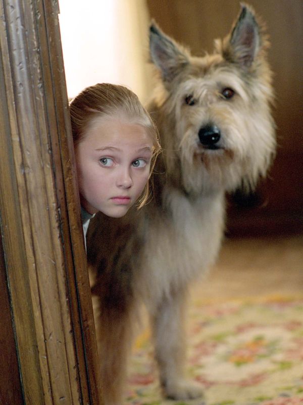 2005 Because Of Winn-Dixie 2005 Because Of Winn-Dixie