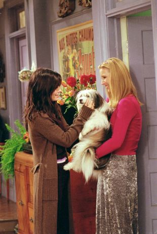 Friends : The One Where Chandler Doesn't Like Dogs