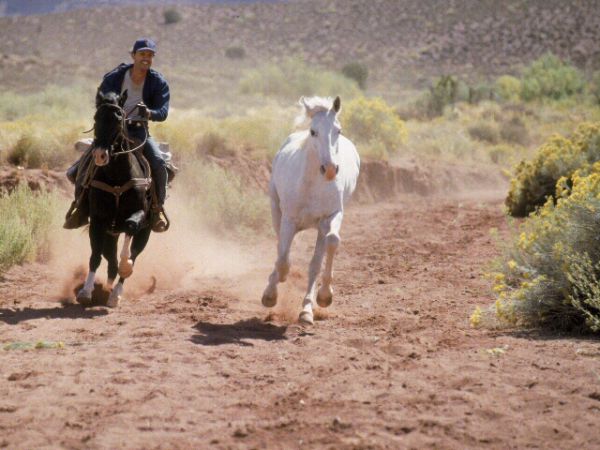 City Slickers Crew City Slickers Smiokin' Cigarettes and Tellin' Lies City Slickers Crew City Slickers Smiokin' Cigarettes and Tellin' Lies