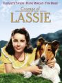 Courage of Lassie