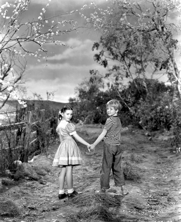 Our Vines Have Tender Grapes (1945) Roy Rowland Synopsis