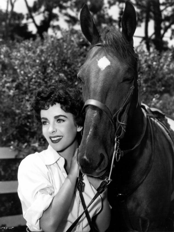 The Girl Who Had Everything (1953) Richard Thorpe Synopsis