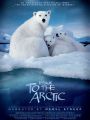 To the Arctic in IMAX