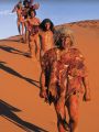 Walking With Cavemen