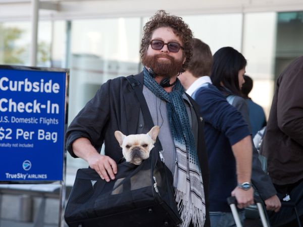 Due date movie cast