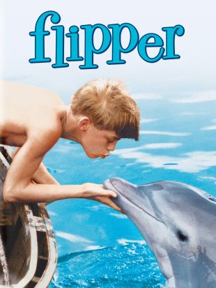 Flipper