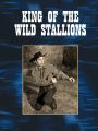 King of the Wild Stallions