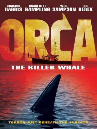 Orca