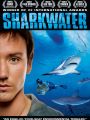 Sharkwater