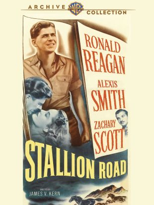 Stallion Road