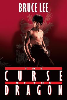 bruce lee his last days his last nights