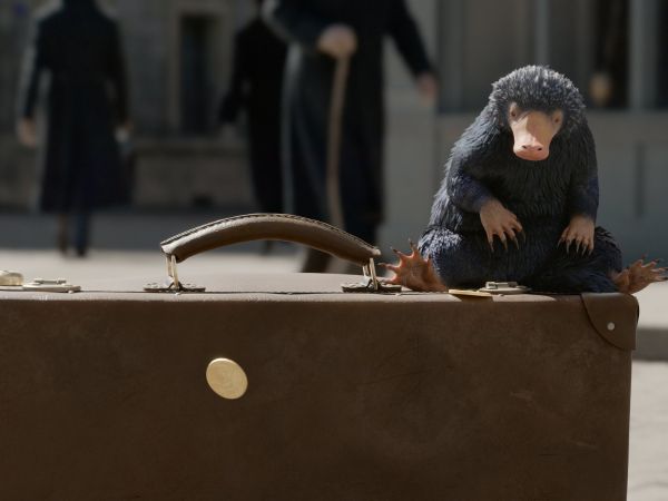 Fantastic Beasts: The Crimes of Grindelwald (2018) - David ...