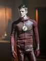 The Flash : Into the Speed Force