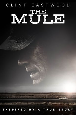 The Mule