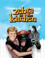 Zebra in the Kitchen