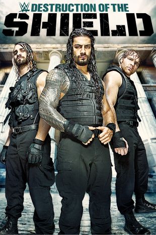 WWE: The Destruction of the Shield