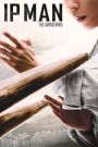Ip Man: The Awakening
