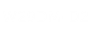 W29DM-D2 Logo