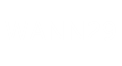 WANN29 Logo