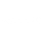 WANN29 Logo